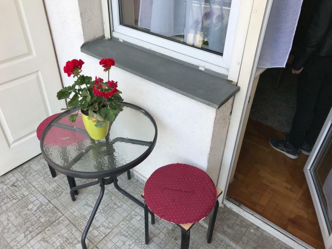 Tina Sajam Studio Novi Sad Exteriör bild